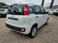 Fiat Panda 1.2 69cv CLIMATIZZATORE OK NEOPATENTATI .. Beyaz - thumbnail 4