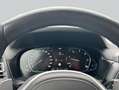 BMW X4 xDrive30d Aut. Laserlicht HiFi Klimaautomatik Grau - thumbnail 19