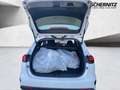 Kia Ceed SW / cee'd SW Ceed Sportswagon 1.6 CRDi  Spirit Weiß - thumbnail 7