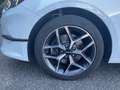 Kia Ceed SW / cee'd SW Ceed Sportswagon 1.6 CRDi  Spirit Weiß - thumbnail 14