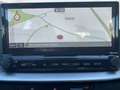 Kia Ceed SW / cee'd SW Ceed Sportswagon 1.6 CRDi  Spirit Weiß - thumbnail 10