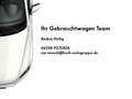 Volkswagen Tiguan eHybrid R-Line DSG Leder Navi LED Pano AH Grün - thumbnail 19