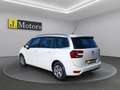 Citroen Grand C4 SpaceTourer 1.5 BlueHdi 130CV Feel 7 Posti S&S Weiß - thumbnail 3