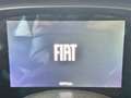 Fiat Panda Panda 1.0 FireFly S&S Hybrid Pandina Blanc - thumbnail 11