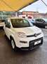 Fiat Panda Panda 1.0 FireFly S&S Hybrid Pandina Blanc - thumbnail 2