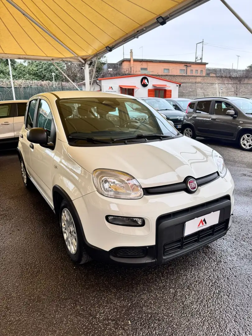 Fiat Panda Panda 1.0 FireFly S&S Hybrid Pandina Blanc - 2