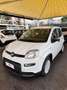 Fiat Panda Panda 1.0 FireFly S&S Hybrid Pandina Blanc - thumbnail 1