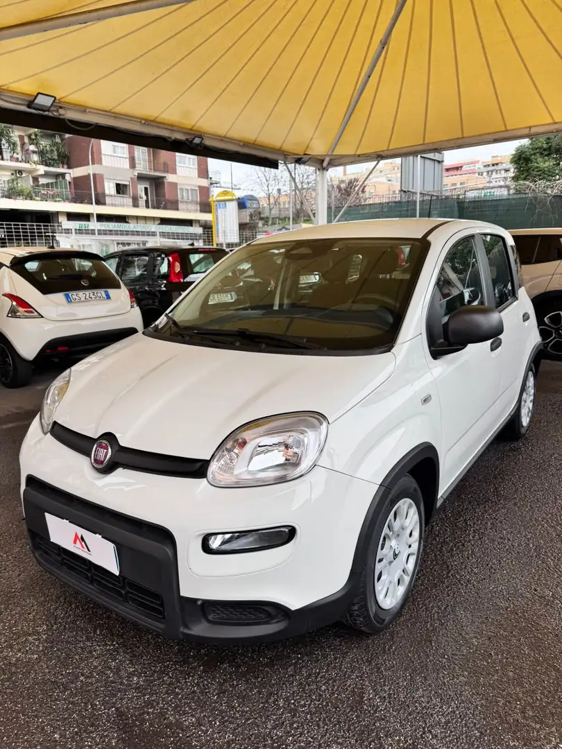 Fiat Panda Panda 1.0 FireFly S&S Hybrid Pandina Blanc - 1