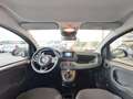 Fiat Panda Panda 1.0 FireFly S&S Hybrid Pandina Blanc - thumbnail 6