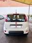 Fiat Panda Panda 1.0 FireFly S&S Hybrid Pandina Blanc - thumbnail 3