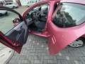 Suzuki Alto Alto 1.0 Comfort Rot - thumbnail 14