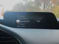 Mazda 3 2.0 e-SkyActiv-G M Hybrid 150 Homura NL-Auto Rot - thumbnail 22