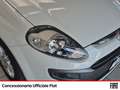 Fiat Punto Evo evo 5p 1.2 blue&me s&s Bianco - thumbnail 15