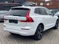 Volvo XC60 B4 MHEV Momentum Pro "Automaat/Navi Google" White - thumbnail 20