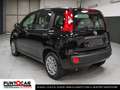 Fiat Panda 1.0 FireFly S&S Hybrid Pandina PROMO FLEX Nero - thumbnail 6