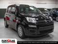 Fiat Panda 1.0 FireFly S&S Hybrid Pandina PROMO FLEX Nero - thumbnail 2