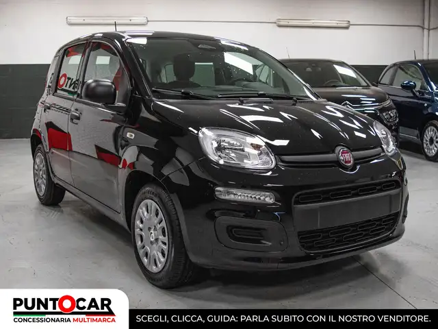Fiat Panda view 2