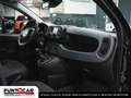 Fiat Panda 1.0 FireFly S&S Hybrid Pandina PROMO FLEX Nero - thumbnail 12