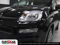Fiat Panda 1.0 FireFly S&S Hybrid Pandina PROMO FLEX Nero - thumbnail 14