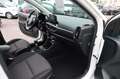Kia Picanto 1,2 Spirit #Komfort Paket#Rückfahrkamera Weiß - thumbnail 15