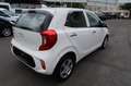 Kia Picanto 1,2 Spirit #Komfort Paket#Rückfahrkamera Weiß - thumbnail 4