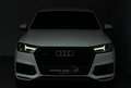 Audi Q7 45 TDI quattro *BOSE*AHK*CAM*Alcantara*20Zoll* Weiß - thumbnail 29