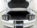 Ford Mustang 5.0 V8 Aut GT Convertible ACC+SitzKlima Weiß - thumbnail 13