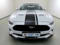 Ford Mustang 5.0 V8 Aut GT Convertible ACC+SitzKlima Weiß - thumbnail 11
