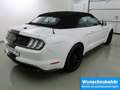 Ford Mustang 5.0 V8 Aut GT Convertible ACC+SitzKlima Weiß - thumbnail 4