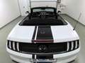 Ford Mustang 5.0 V8 Aut GT Convertible ACC+SitzKlima Weiß - thumbnail 9
