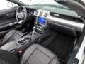 Ford Mustang 5.0 V8 Aut GT Convertible ACC+SitzKlima Weiß - thumbnail 20