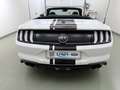 Ford Mustang 5.0 V8 Aut GT Convertible ACC+SitzKlima Weiß - thumbnail 8