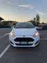 Ford Fiesta 5p 1.4 Black&White Gpl 95cv - thumbnail 1
