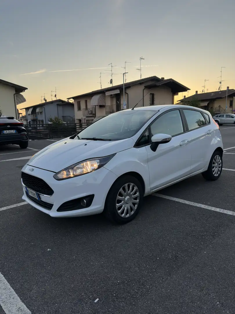 Ford Fiesta 5p 1.4 Black&White Gpl 95cv - 2