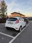 Ford Fiesta 5p 1.4 Black&White Gpl 95cv - thumbnail 5