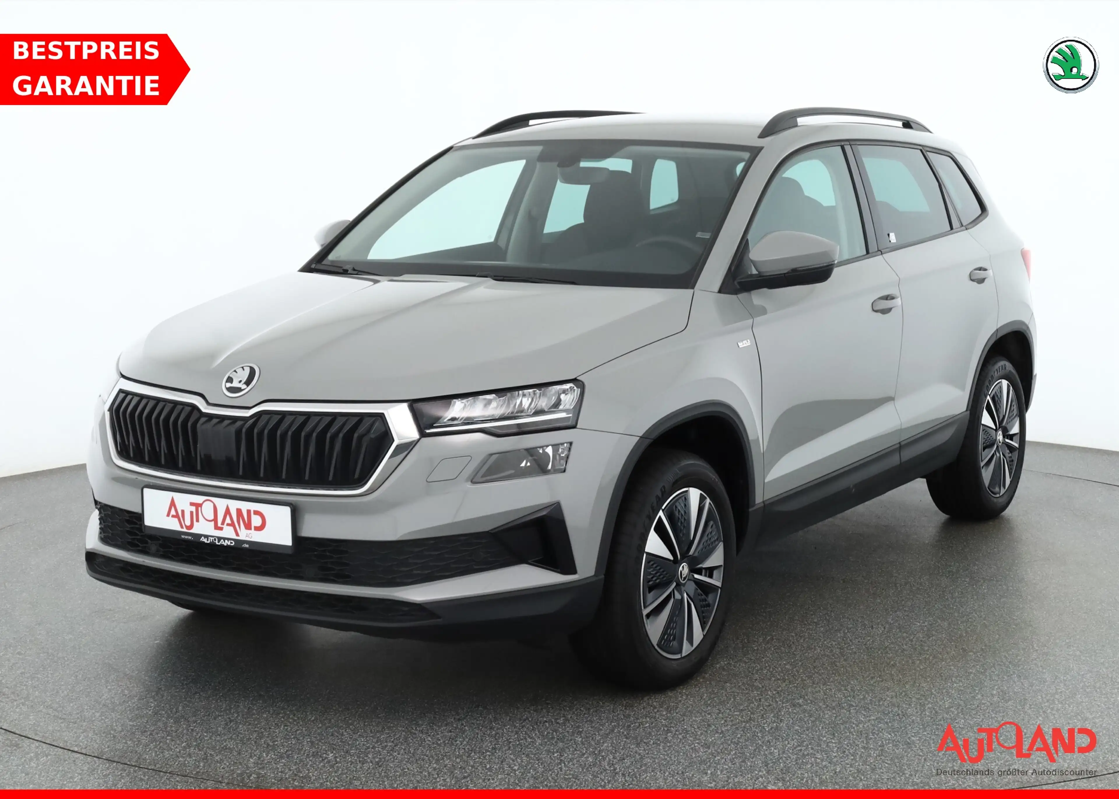 Skoda Karoq 1.0 TSI Tour LED Kamera 4x Sitzheizung DAB