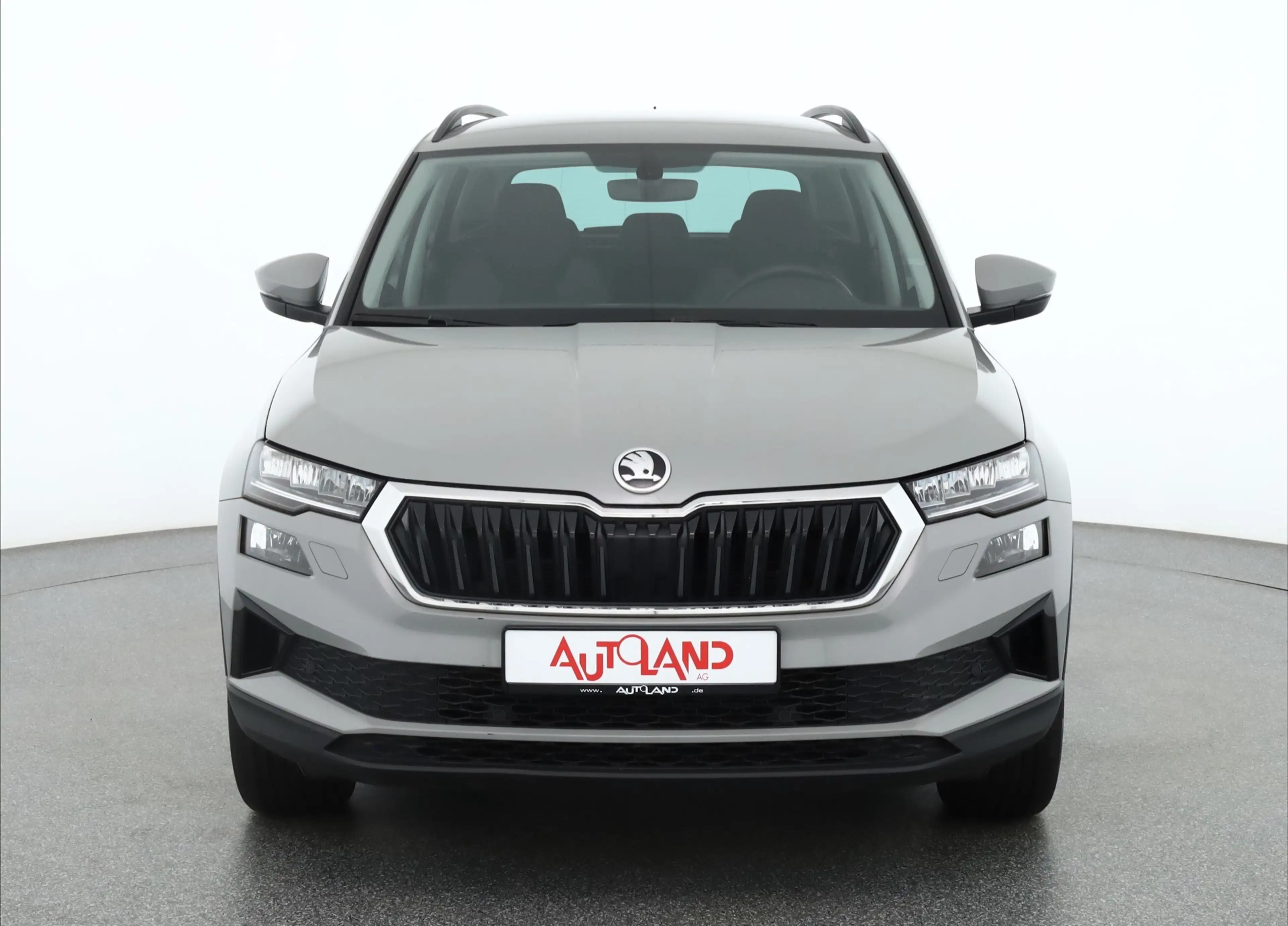 Skoda Karoq 1.0 TSI Tour LED Kamera 4x Sitzheizung DAB — photo 8