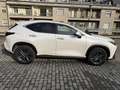 Lexus NX 450h+ PREMIUM COME NUOVA PLUG IN 4WD Hybrid Bianco - thumbnail 11