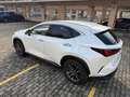 Lexus NX 450h+ PREMIUM COME NUOVA PLUG IN 4WD Hybrid Bianco - thumbnail 13