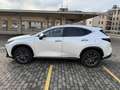 Lexus NX 450h+ PREMIUM COME NUOVA PLUG IN 4WD Hybrid Bianco - thumbnail 12