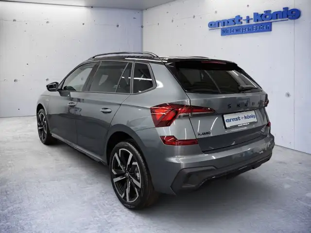 Skoda Kamiq view 4