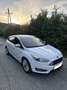 Ford Focus 1.0 EcoBoost Start-Stopp-System Titanium - thumbnail 3