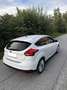 Ford Focus 1.0 EcoBoost Start-Stopp-System Titanium - thumbnail 4