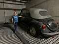 Volkswagen Käfer Schwarz - thumbnail 2