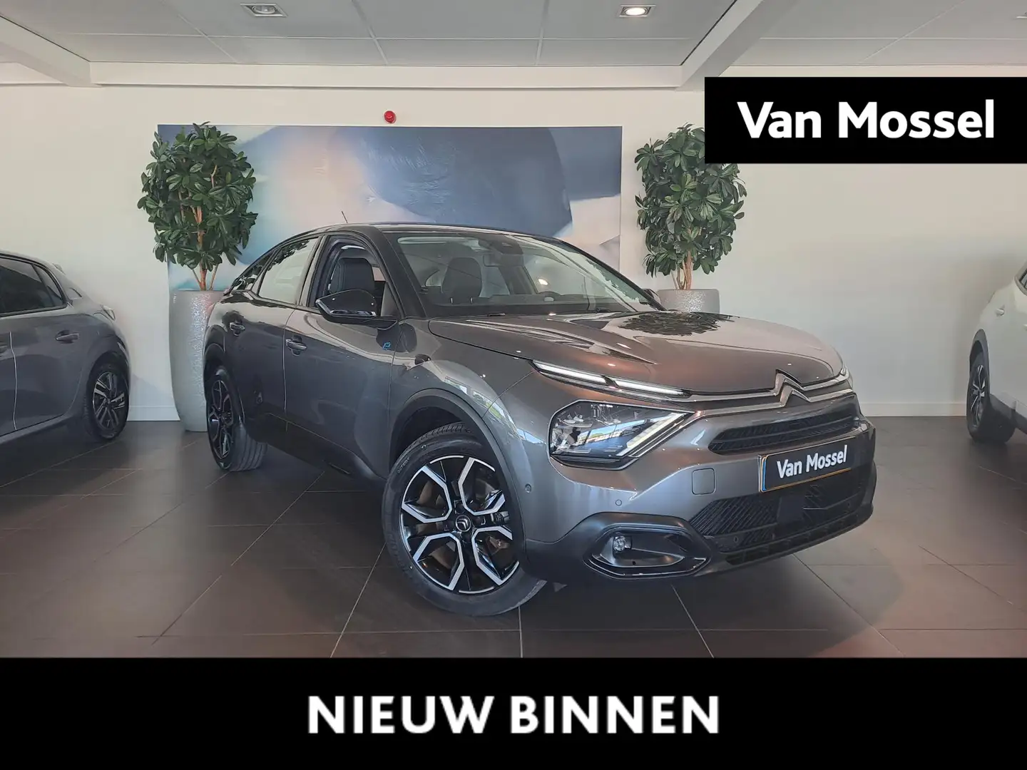 Citroen E-C4 Electric Feel Pack 50 kWh Gris - 1