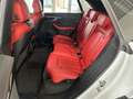 Audi SQ8 4.0 TFSI quattro *STHZ,MATRIX,LEDER*, Blanco - thumbnail 12
