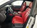 Audi SQ8 4.0 TFSI quattro *STHZ,MATRIX,LEDER*, Weiß - thumbnail 10