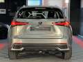 Lexus NX 300 300h Business Navigation 2WD Grau - thumbnail 8