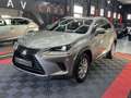Lexus NX 300 300h Business Navigation 2WD Grau - thumbnail 4