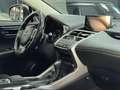 Lexus NX 300 300h Business Navigation 2WD Grau - thumbnail 38
